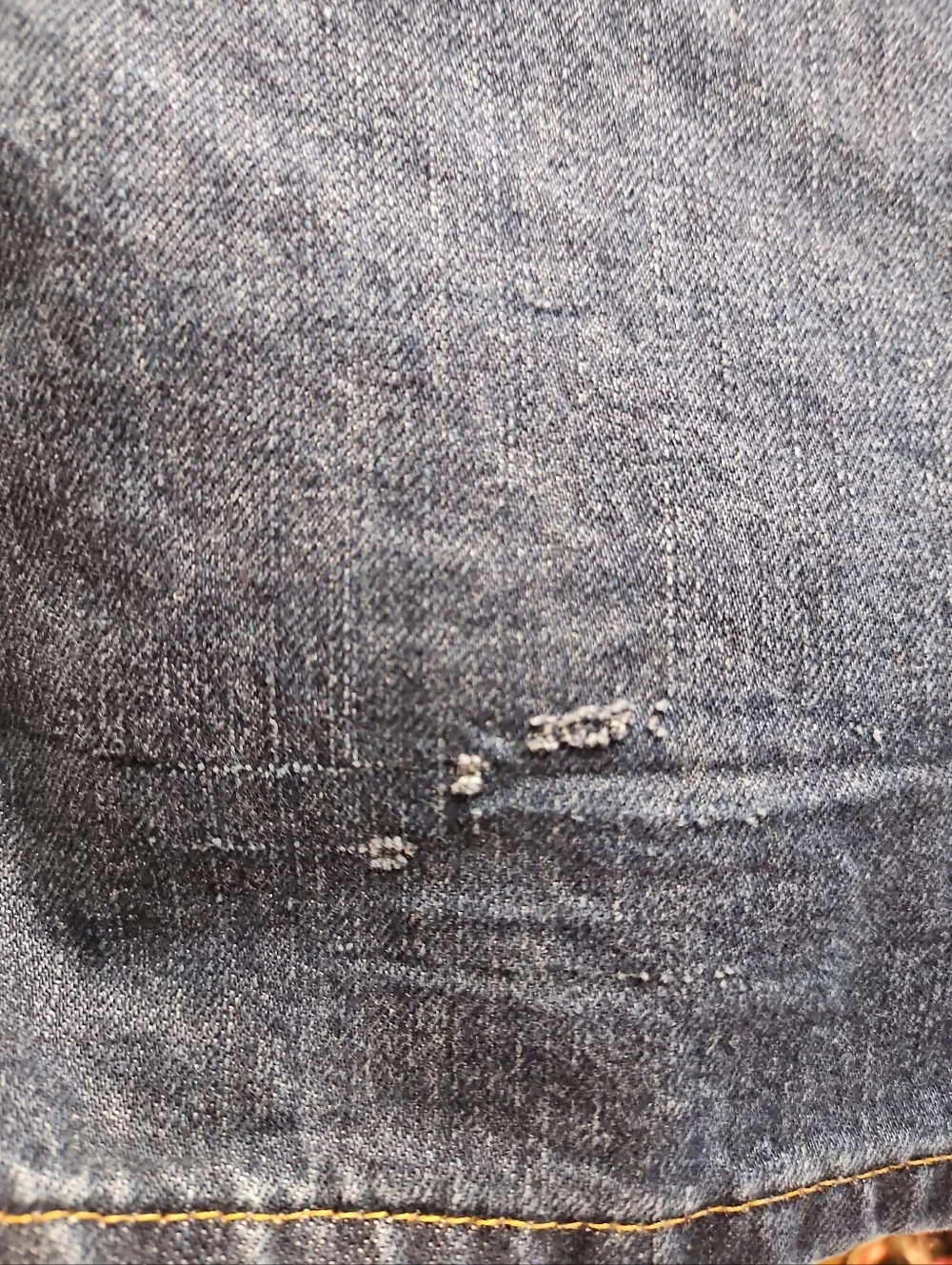 Carhartt classic straight